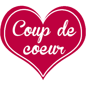 Les meilleurs Cookies